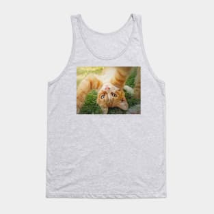 Playful orange kitten Tank Top